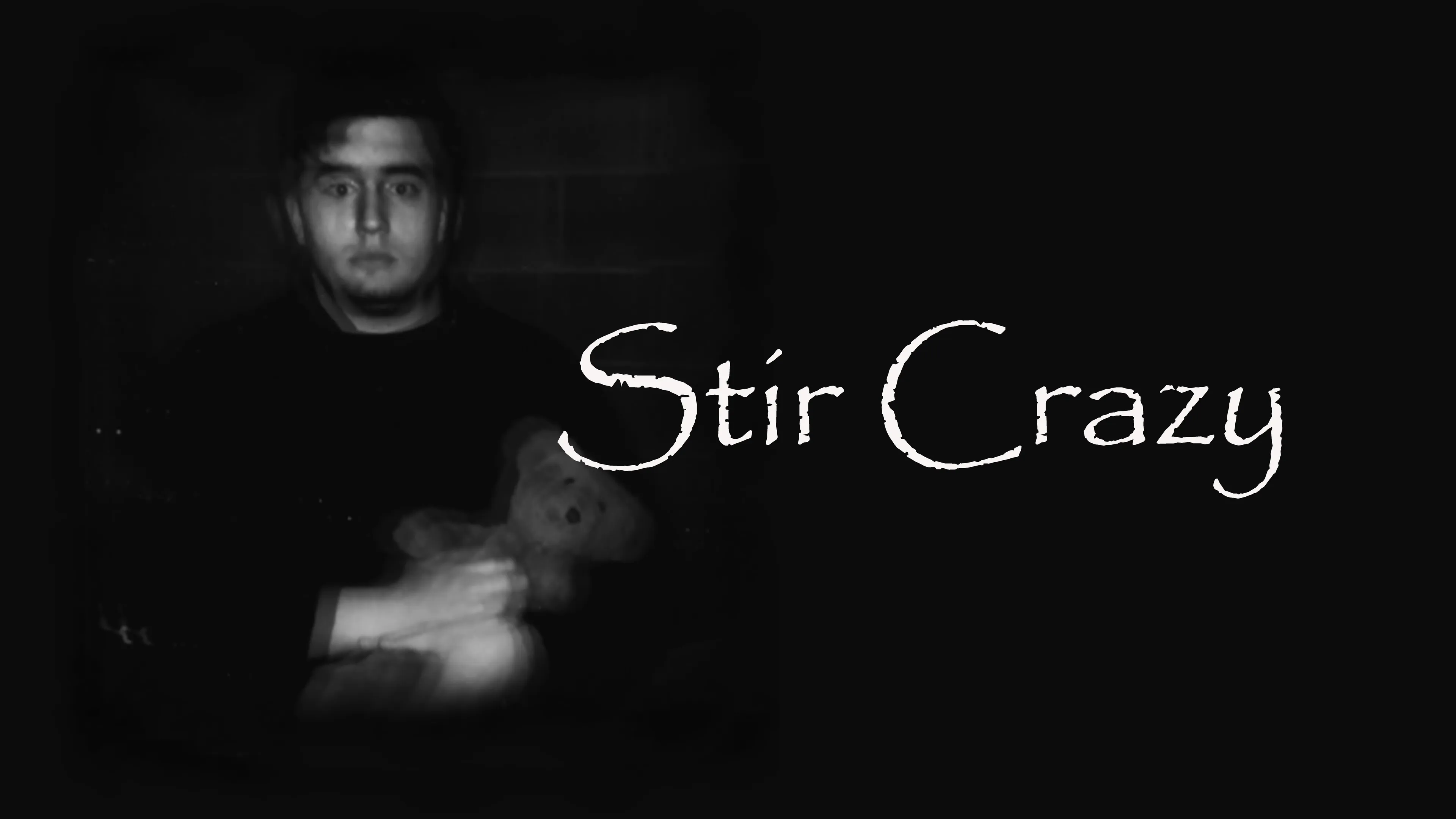 Stir Crazy poster